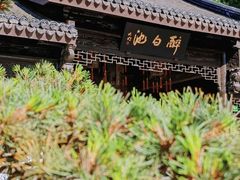 -上海醉白池公园