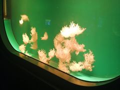 -福州罗源湾海洋世界旅游区