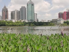 -南宁南湖公园