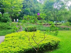 -晓港公园