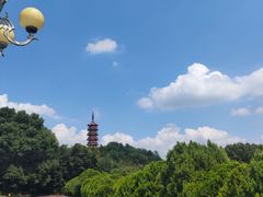 -天下玉苑