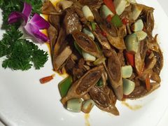 -龙福成肥牛火锅(文昌店)