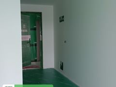 -大树装饰·十年本土家装