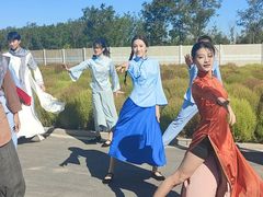 -天津东丽湖风景区