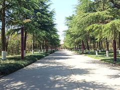 -黄河小浪底水利枢纽风景区