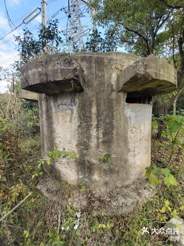 春申塘绿化带碉堡-大众点评