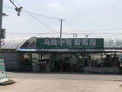 -马陆小张葡萄园农家乐