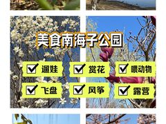-南海子公园