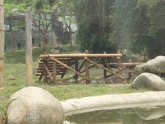 -泉州海丝野生动物世界