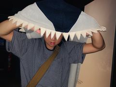 -澳大利亚国家海事博物馆