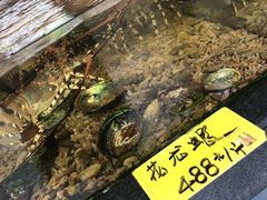 -顺德了能馆(虎门店)