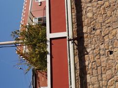 -青岛大学路小学