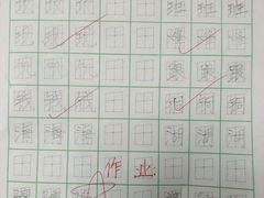 -赵汝飞练字硬笔书法(静安寺校区)