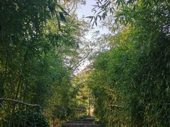 -竹子庵公园