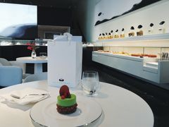 -BLACKSWAN黑天鹅(环球店)