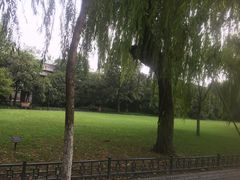 -柳浪闻莺公园