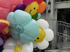 -溪岸路花鸟市场