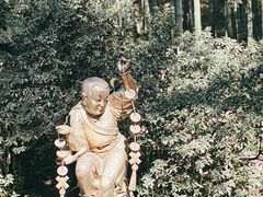 -杭州黄龙洞