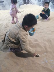 -恐龙探索乐园(磁器口店)