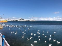 -青海湖国家重点风景名胜区