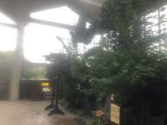 -太白山御龙湾温泉