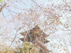 -鼓楼(西湖风景名胜区)