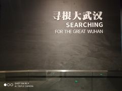 -盘龙城国家考古遗址公园