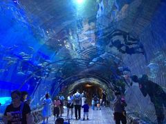 -华夏文旅海洋公园