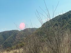 -四明山国家森林公园