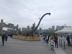 -恐龙探索乐园(磁器口店)