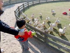 -前小桔亲子创意农场·草莓采摘·露营烧烤