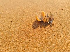 -金梦海湾浴场