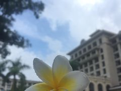 景观位-面道特色餐厅·海口鲁能希尔顿酒店