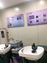 -碧莲盛·不剃发植发