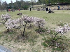 -白塘生态植物园