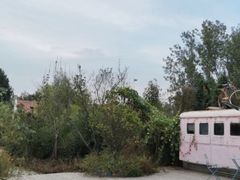 -渡海小渔村.老辈日照菜