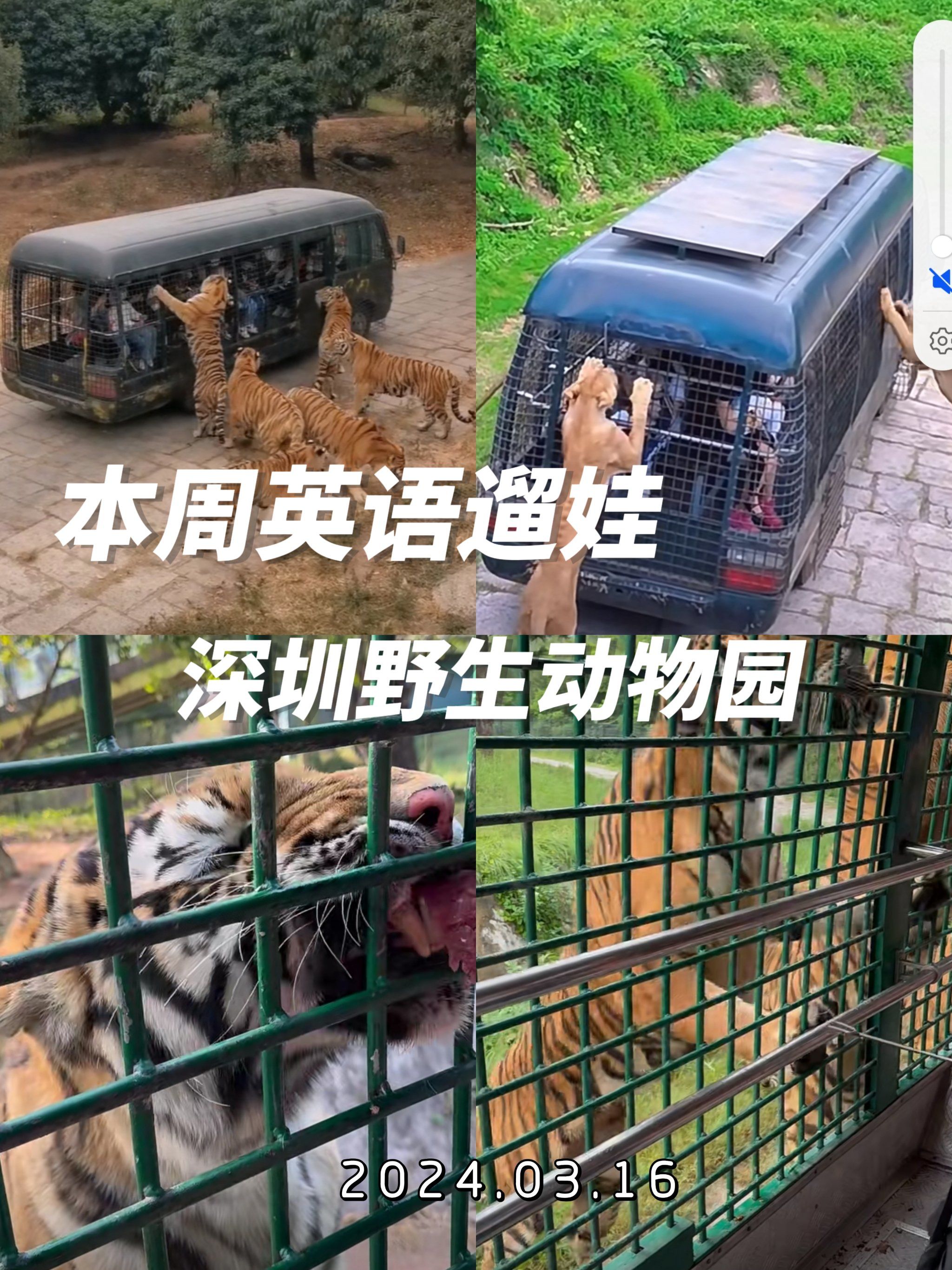 参观动物园英语  第1张 
参观动物园英语  第1张