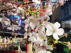 -绿地风尚天地广场