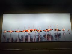 -罗红摄影艺术馆