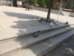 -龙口南山旅游景区