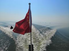 -洪湖湿地生态园