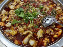 -重庆豆花鱼(福洲大道店)