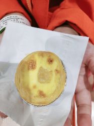 -秦皇星际小蚂蚁乐园