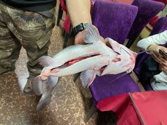 -北京龙庆四季香农家饭庄·灶台鱼·碳烤虹鳟鱼(龙庆峡店)