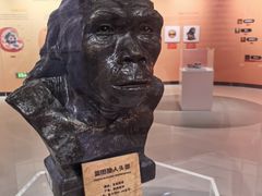 -陕西自然博物馆