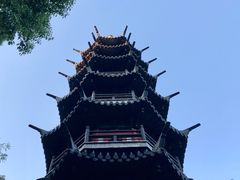 -上海佘山国家森林公园西佘山园