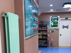-天使宠物医院·犬猫分诊(彩虹店)