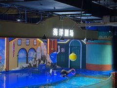-重庆欢乐海底世界