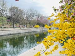 -海棠花溪(元大都城垣遗址公园)