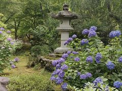 -天龙寺